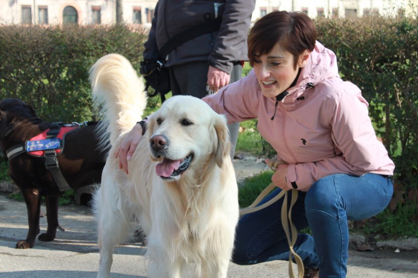 Educare un cane, metodo educativo
