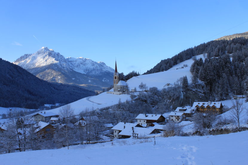 vacanza sulla neve; neve; cane