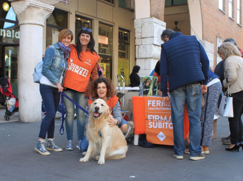LAV; il maltrattamento degli animali