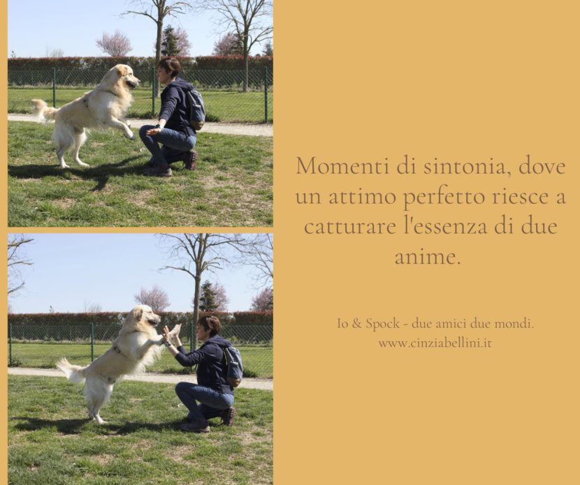 attimo perfetto; Cinzia Bellini