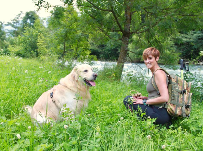 giornata mondiale del cane