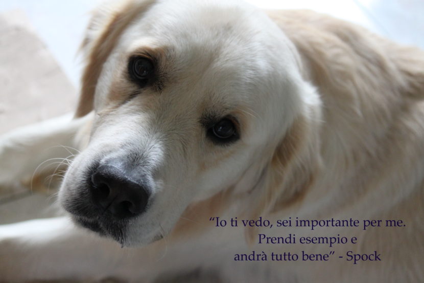 Socializzazione apprendimento o trasformazione?