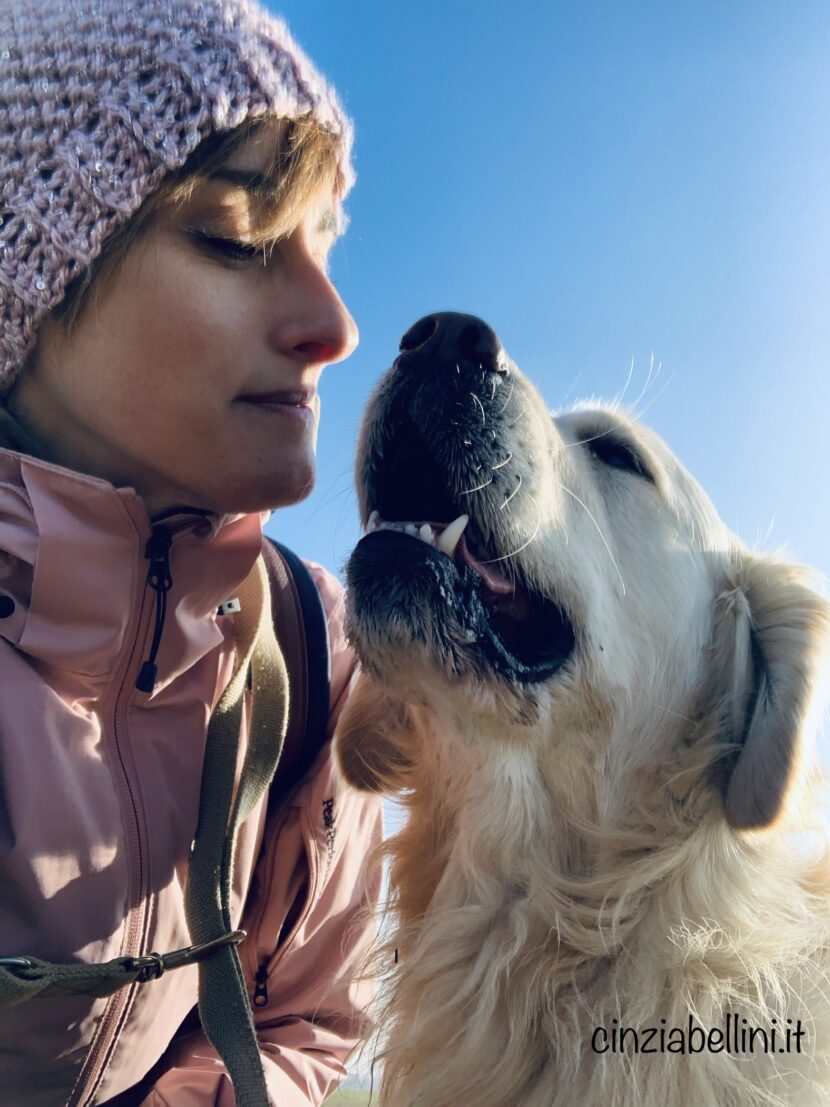 Il cane: 10 cose da NON fare